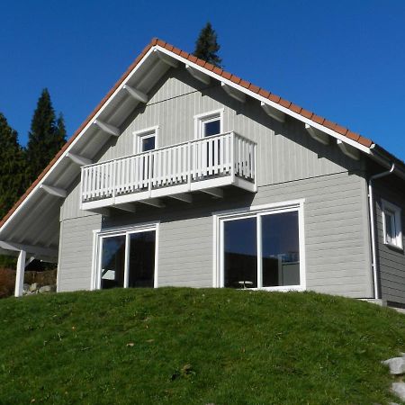 Chalet Myrtille Gérardmer Eksteriør bilde